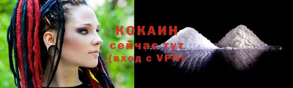 дмт Абаза