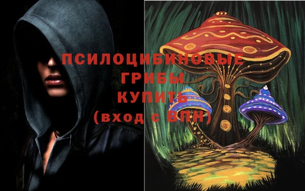 дмт Абаза
