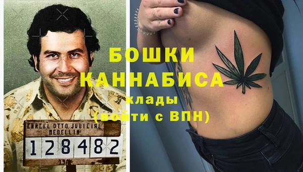 дмт Абаза