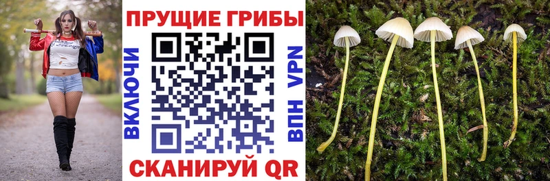 Галлюциногенные грибы Magic Shrooms  Кострома 