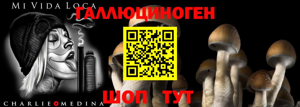 Галлюциногенные грибы мухоморы  Вход с VPN  Кострома 